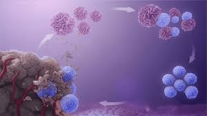 Британські вчені виявили «універсальний метод» лікування раку